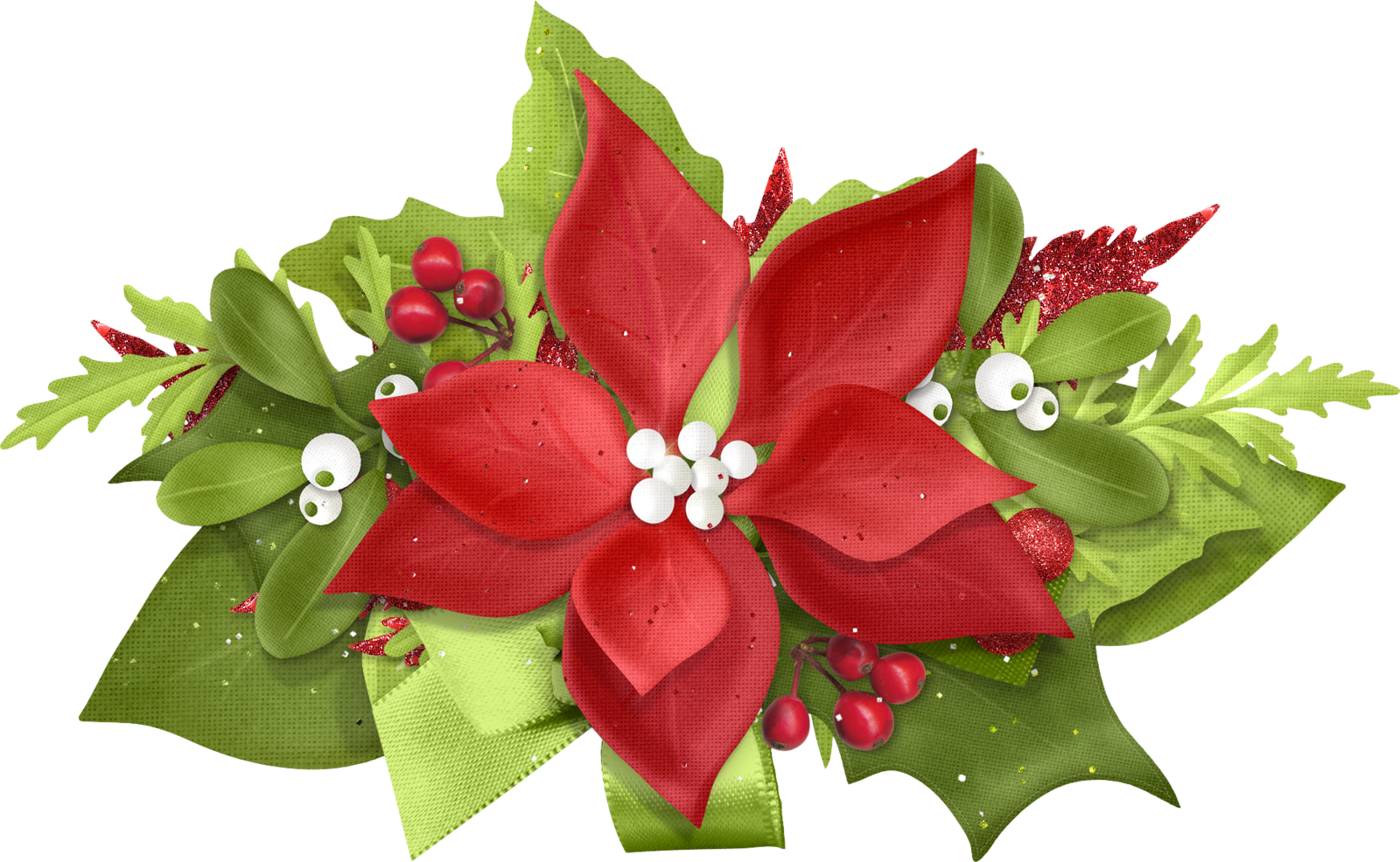 Christmas Flowers - Poinsettia (1600x986)