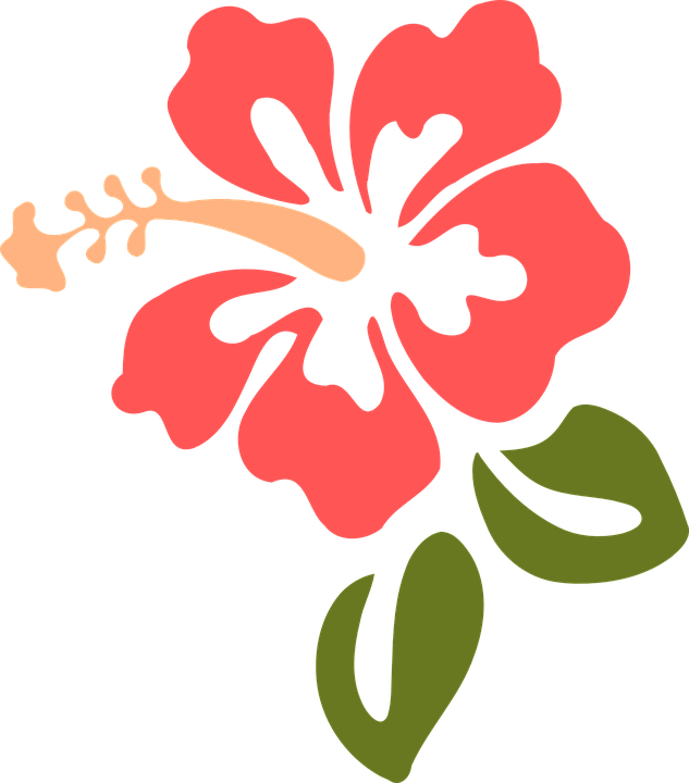 Poinsettia Flower Cliparts 21, Buy Clip Art - Hawaiian Flower Transparent Background (633x720)