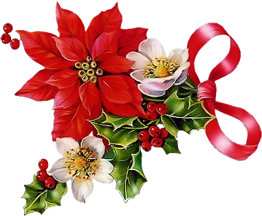Tfn - Clipart Christmas Poinsettia (640x500)