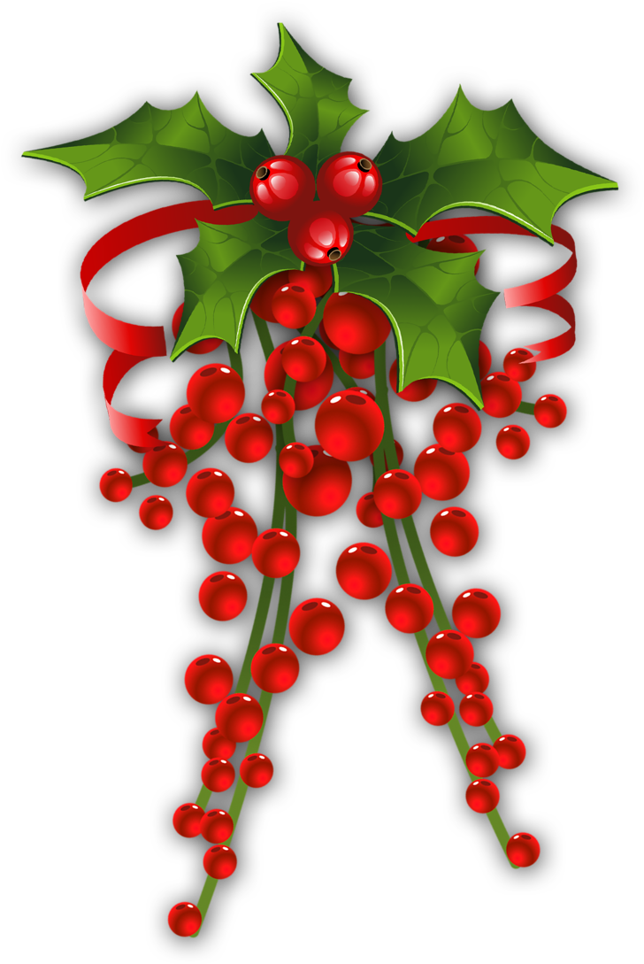 Clipart Red Poinsettia Diy - Tote Bag Mistletoe - 14 X 15 (36 X 39 Cm) (752x1120)