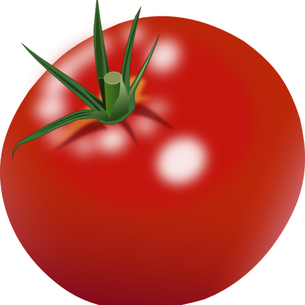 Tomato Clipart Tomato Clip Art At Clker Vector Clip - Clip Art Tomato (1024x1024)
