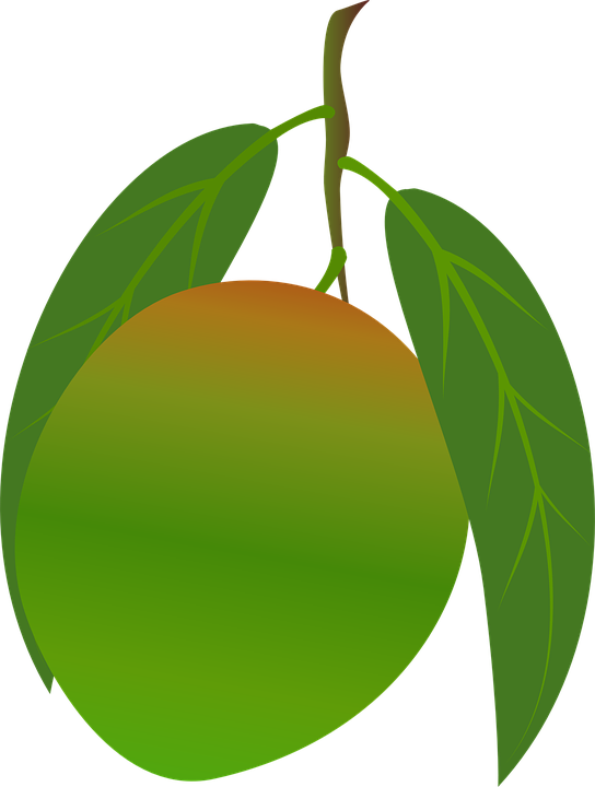 Mango Clipart Food - Mango Green Png (967x1280)