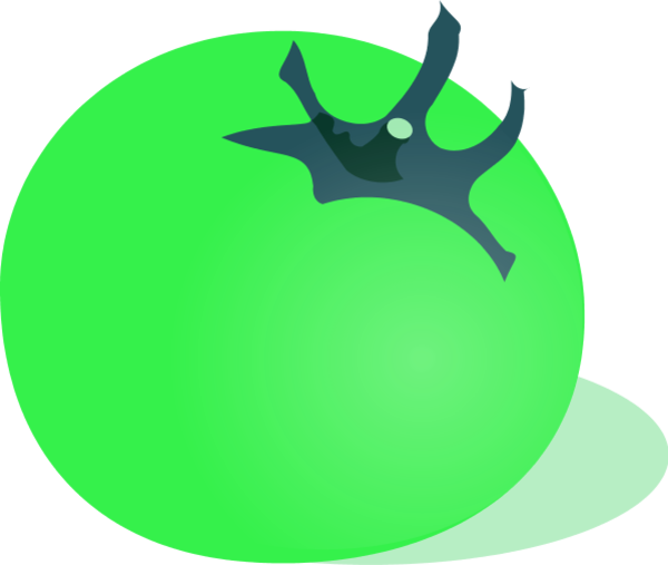 Tomato Vector Clip Art - Green Tomato Clipart (600x507)