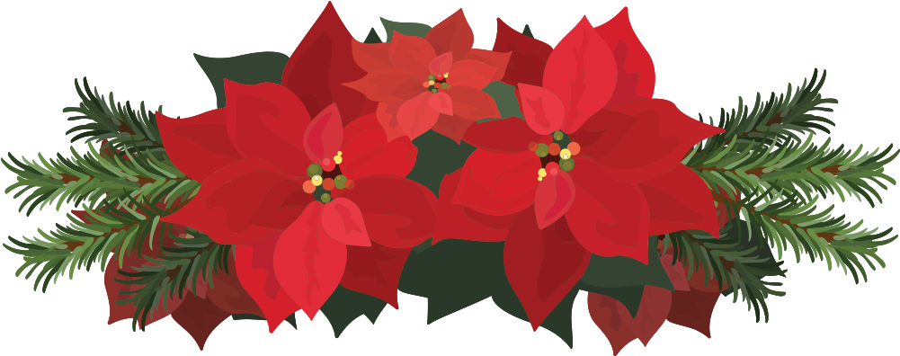 This Is A Sticker Of A Poinsettia Flower - Poinsettia (1000x473)