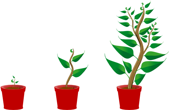 Growing Trees Clip Art At Clker - Getting To Know Plants (600x362)
