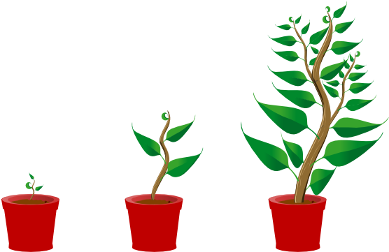Growing Trees Clip Art At Clker - Getting To Know Plants - Full Size ...