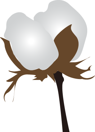 That's 3 Acres Of Cotton - Cotton Clipart Transparent (306x426)