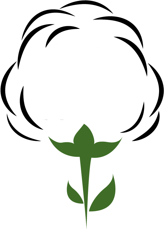 Organic Cotton - Organic Cotton (738x768)