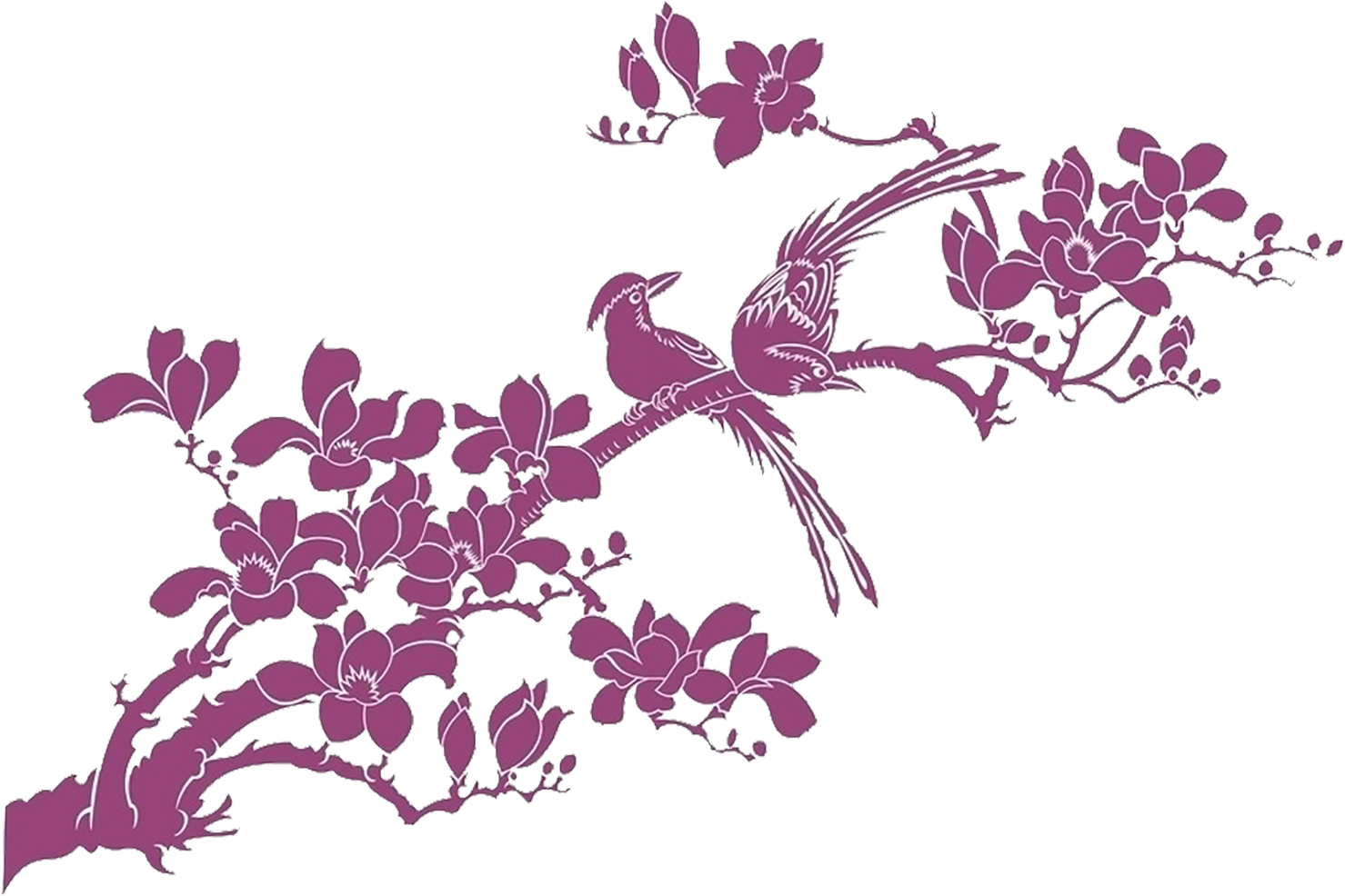 Bombax Ceiba Wallpaper - Bombax Ceiba Wallpaper (1500x1144)