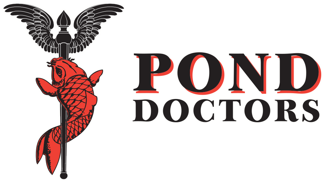 The Particular Species Inhabiting Each Water Garden - Water (1056x590)