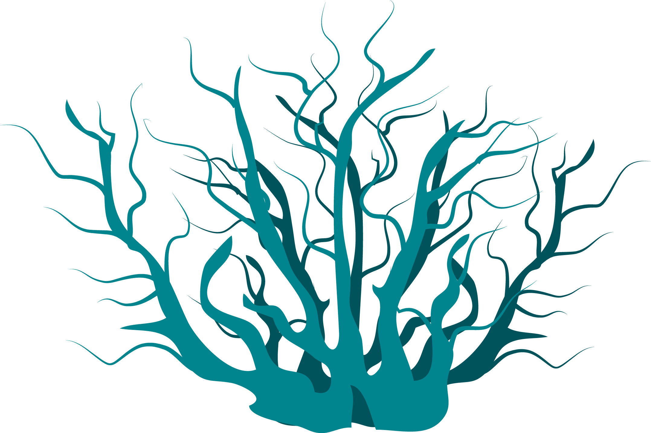 Aquatic Plant Clip Art - Algae (2155x1436)