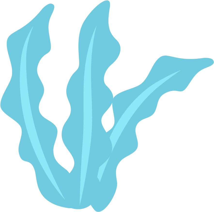 Marine Life Clip Art - Algas Marinhas Desenho Png (1074x990)