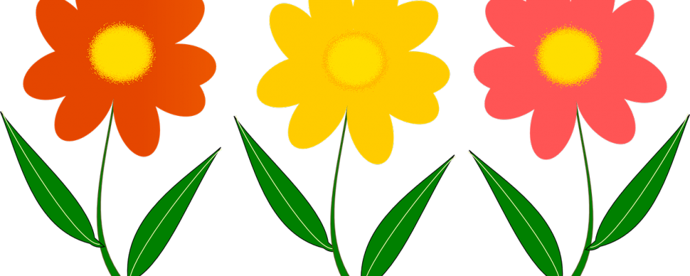 Assisteens Flower Sale Ends March 1st - Vector Png Flower Png (1000x400)