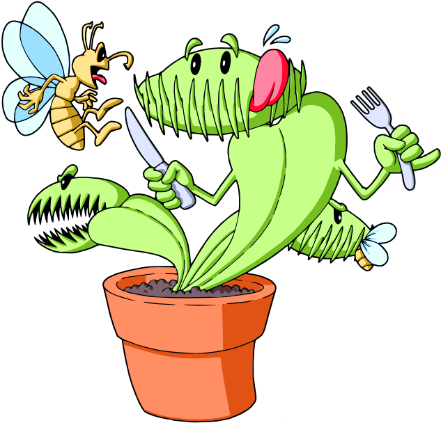Carnivores Seeds And Plants For Sale - Venus Fly Traps Parts (640x640)