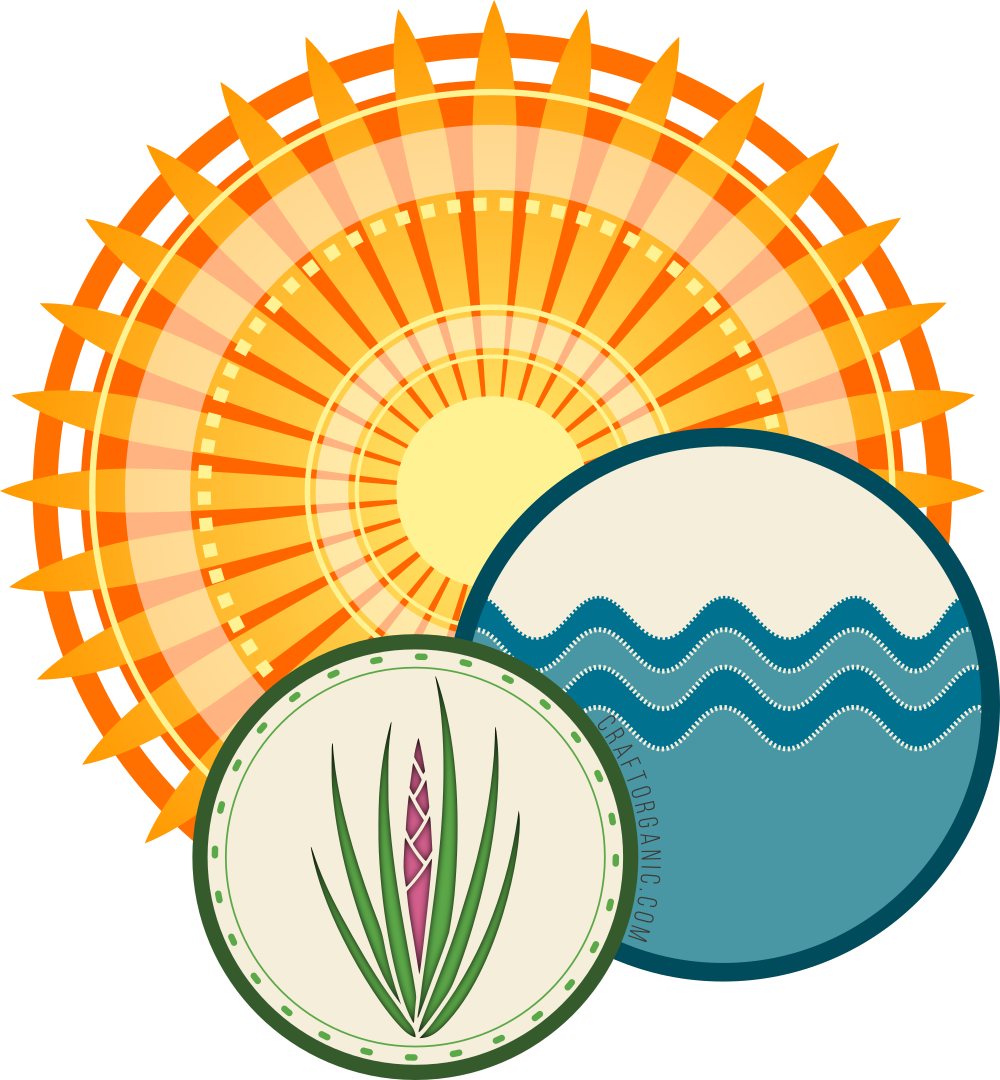 Also Know As Air Plants, Are Generally Easy To Care - Austin Clipart (1000x1080)