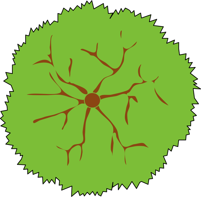 Top view trees and bushes. Forest tree, green park bush and plant map elements l