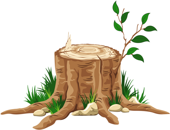 Transparent Tree Stump Png Clipart Äåðåâüÿ Tree - Stump Clip Art (600x465)