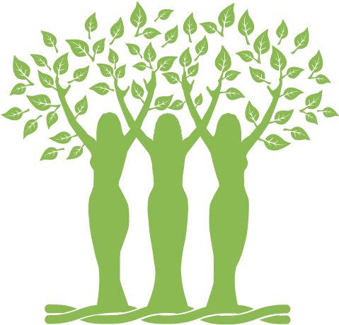 Whc - Logo (524x531)