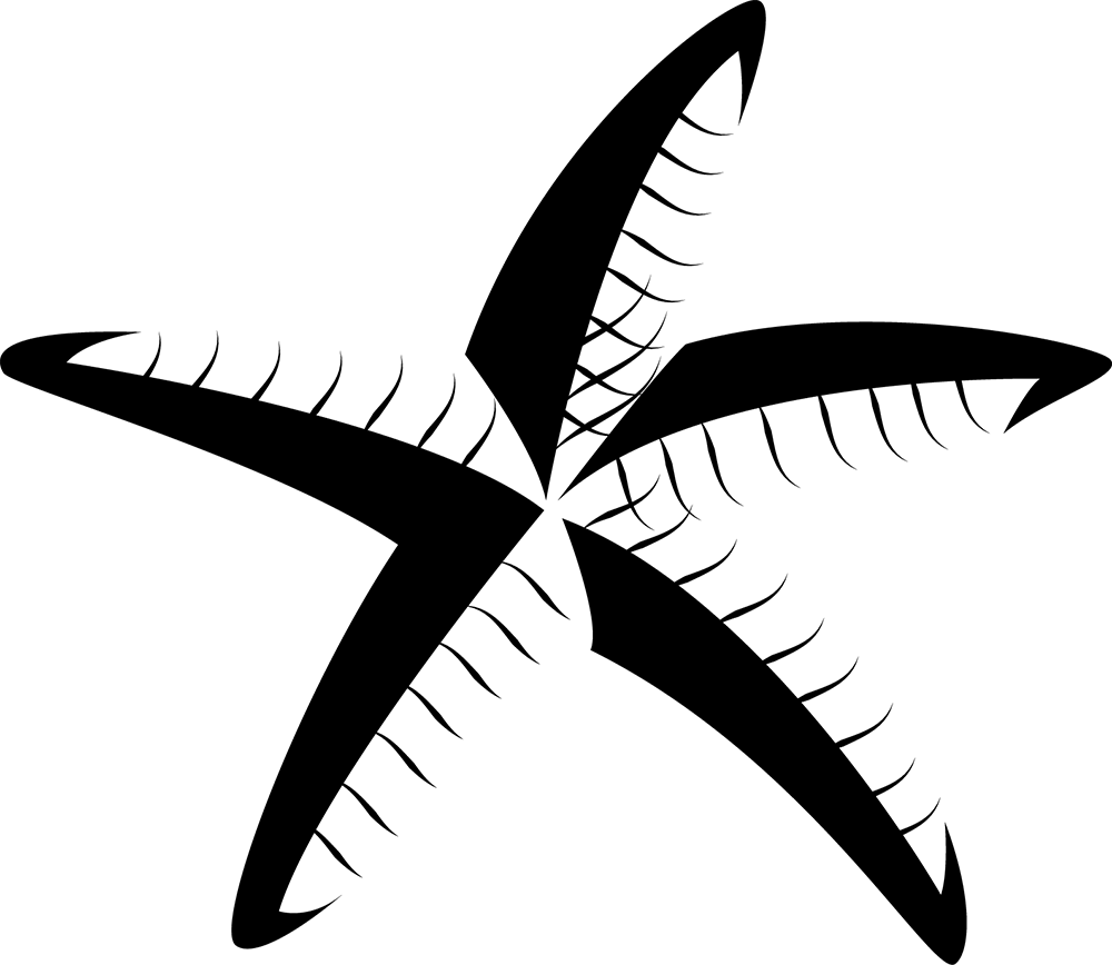 Starfish Textiles - Privacy Policy (1000x868)