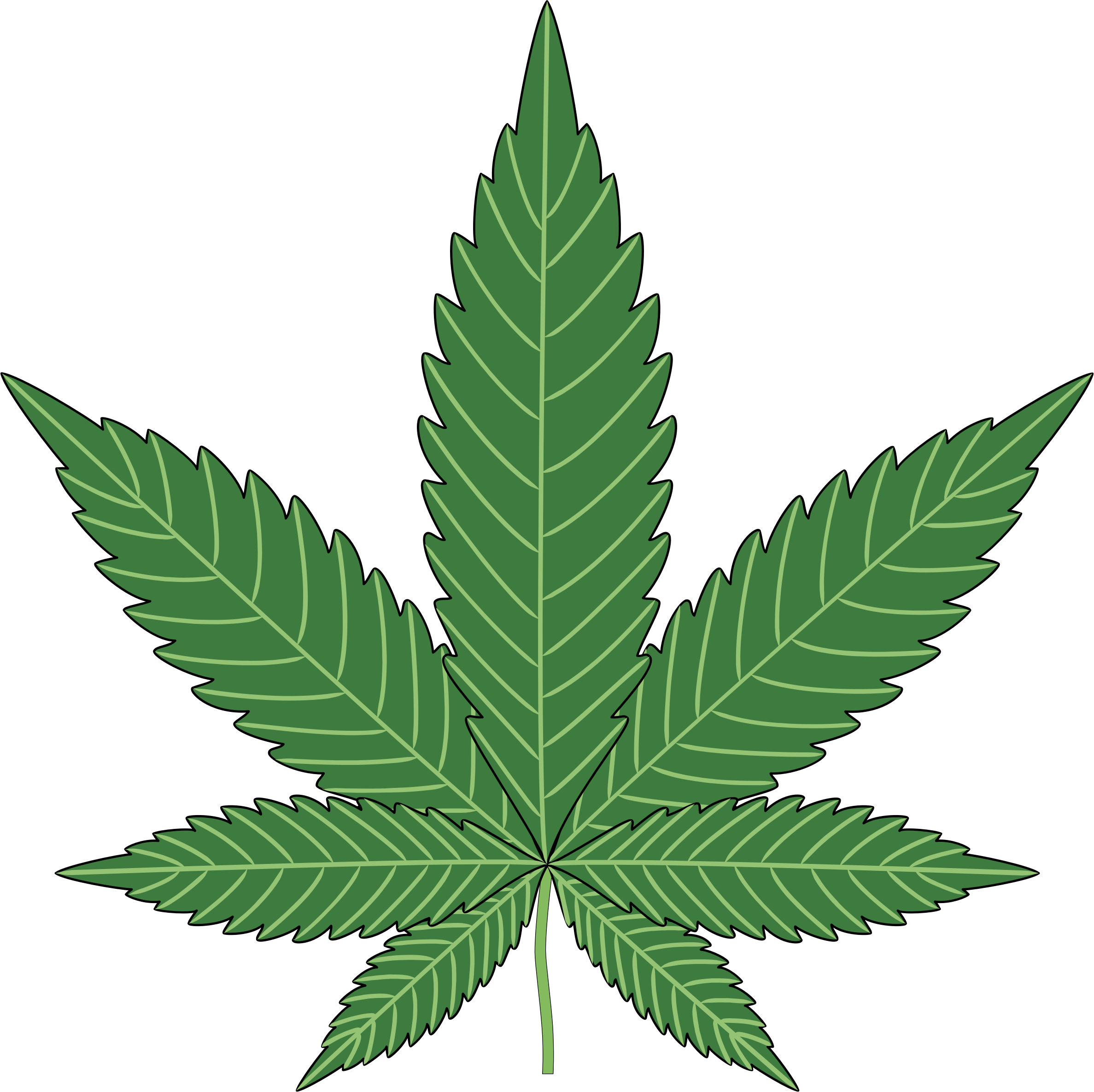 Big Image - Marijuana Png (2375x2370)