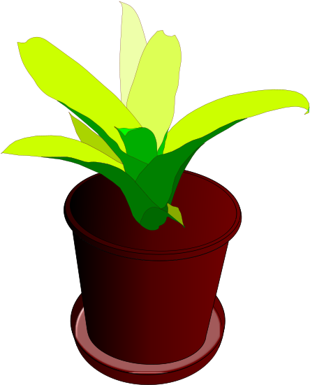 Pot, Flower Pot, Plant Pot, Green - Vaso De Planta Desenho (800x600)
