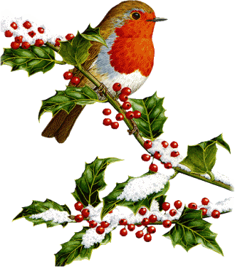 Clip Art - Vintage Christmas Bird Clip Art (330x375)