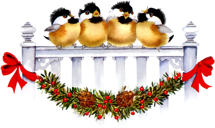 Российский Сервис Онлайн-дневников - Noel (699x433)