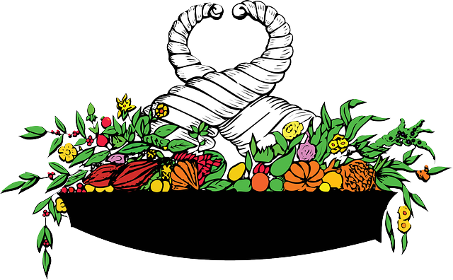 Plant Plants, Flower, Pot, Plant - Coat Of Arms Of Venezuela (640x396)