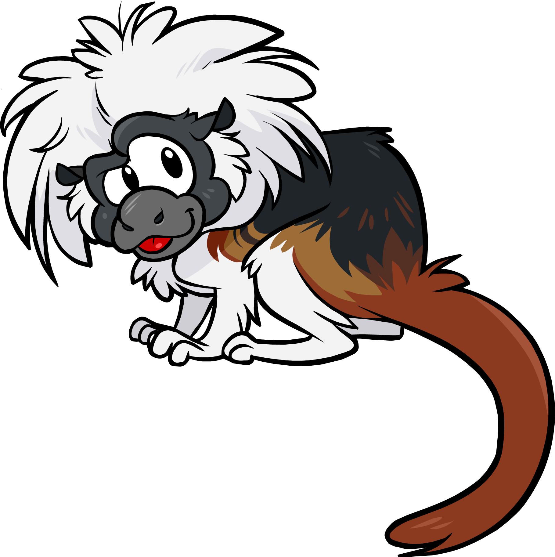 Cotton Top Tamarin - Cotton Top Tamarin Clipart (1819x1825)