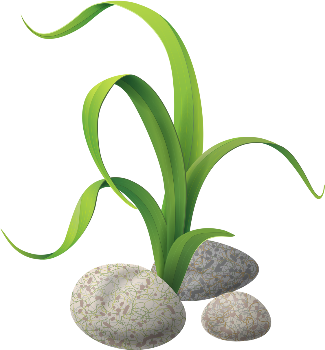 Яндекс - Фотки - Aquarium (1144x1280)