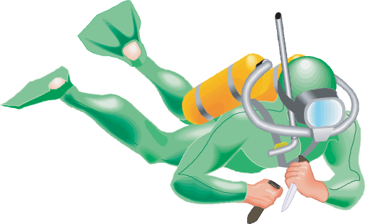 Green Scuba - Robin Name Gif (514x315)