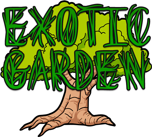 Bukkit - Minecraft Exotic Garden Map (500x500)