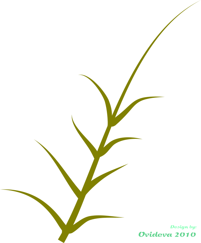 Green Plant Clipart - Clip Art (660x800)