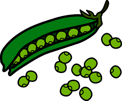 Eat Eating Essen Nahrung Food Peas Pod Pea - Peas Clipart (411x340)