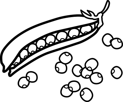 Peas Clipart Black And White - Peas Black And White (411x340)