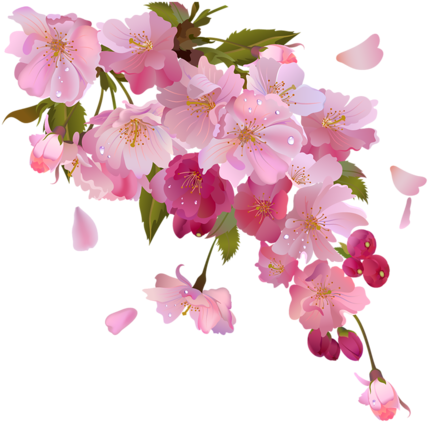 Pink Flower Vine Png - Harry Styles Woman Lyrics (500x500)