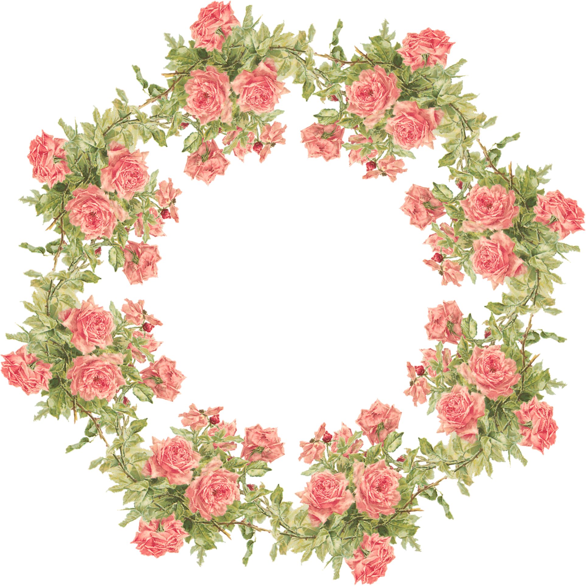 Peach Flower Clipart Rose Frame - Flower Frame Transparent Background (1926x1926)