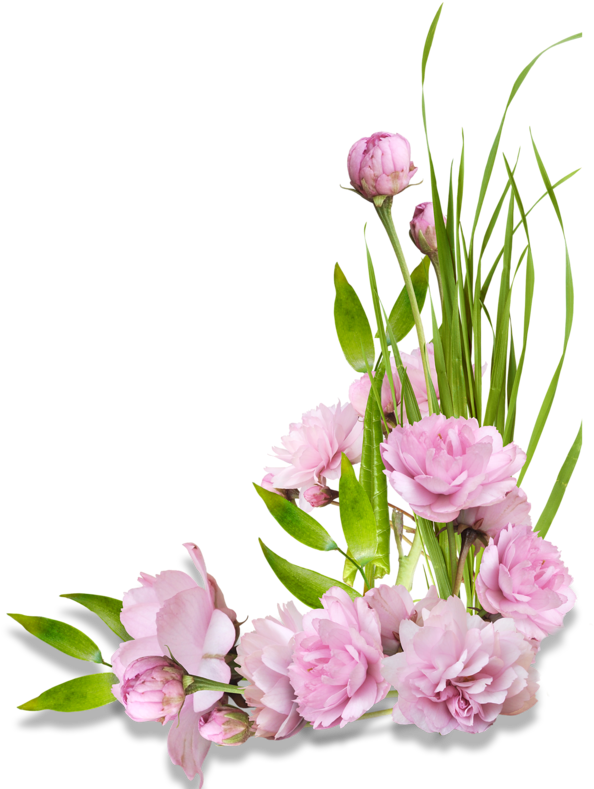 Blog - Flower For Page Corner (800x800)