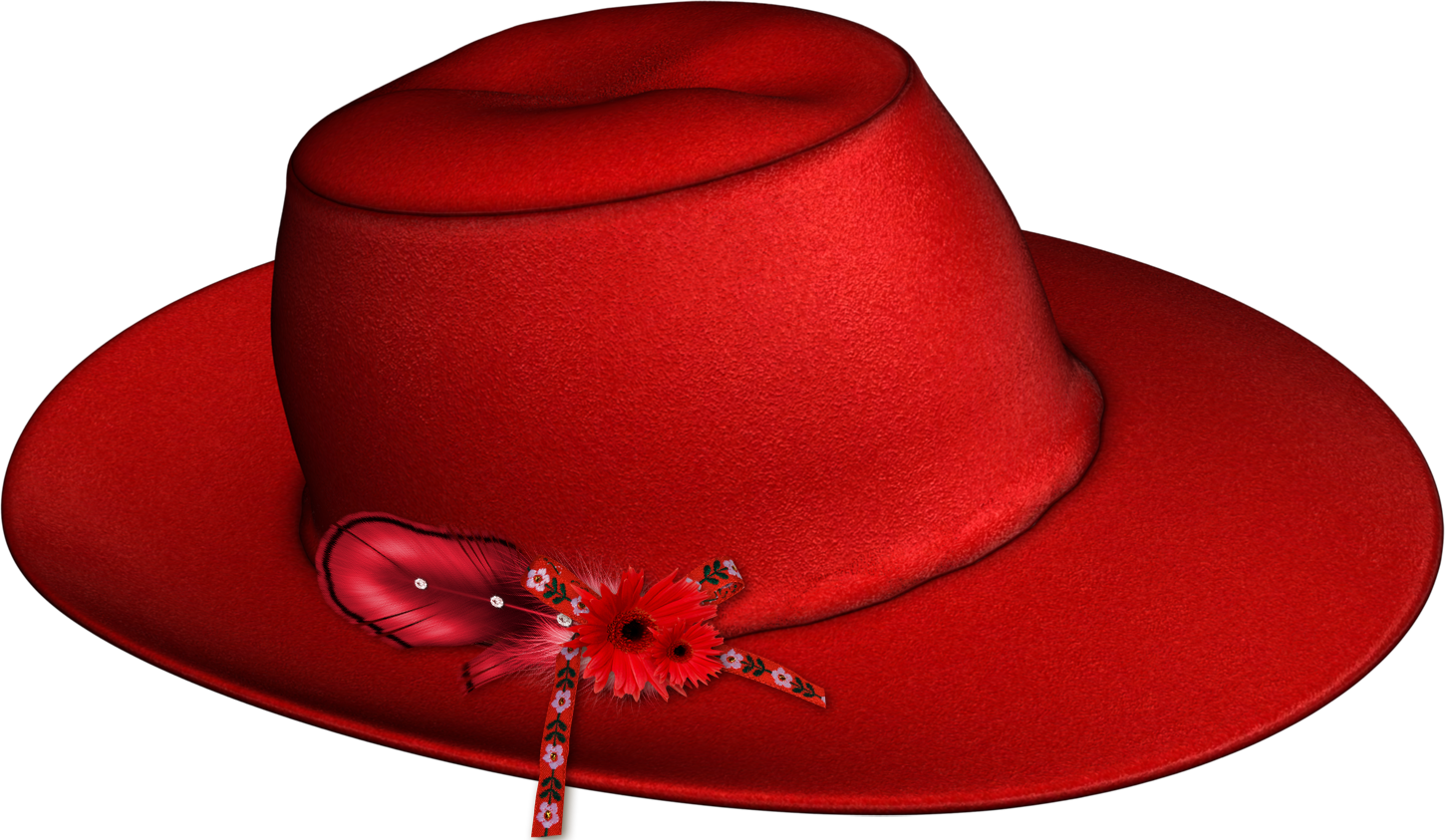 Pink Cowboy Hat Cartoon - Fancy Hat Png (1450x843)