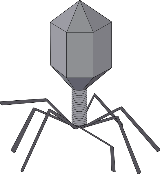 Virus Clip Art - Virus Vector (552x600)