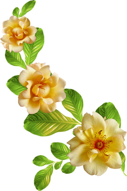 Decoupage - Bom Dia Delicado Gif (533x800)