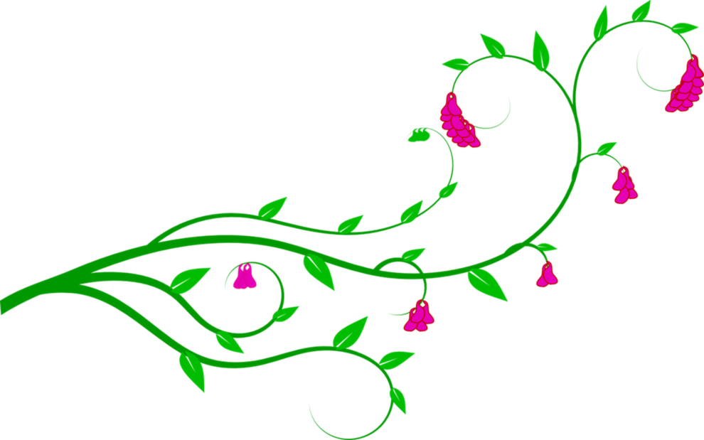 New Collection Of Flowers On Vines Pictures Flower - Flower Vines Clip Art (990x619)
