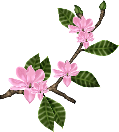Vine Png Vine Png Photo Bd Bca Vine - Flowering Vine Transparent Png (387x428)