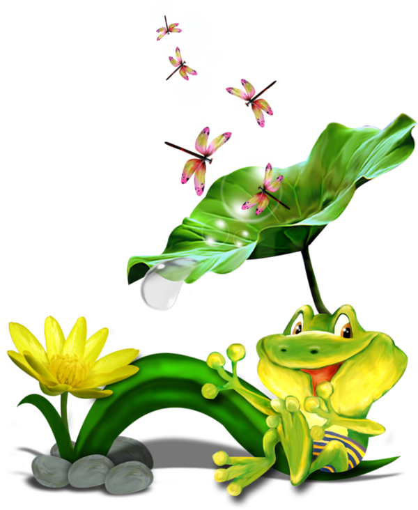 Grenouilles,frog,tube - Sacred Lotus (600x732)