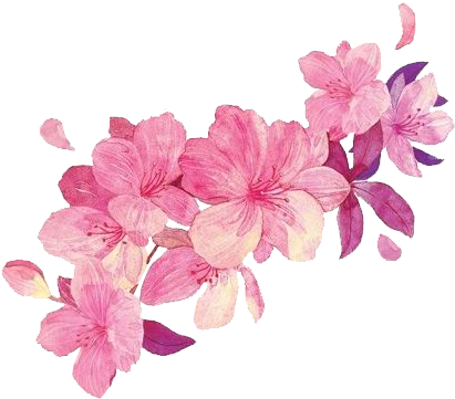 点击查看源网页 - Orchid Watercolor Pink Png (500x678)