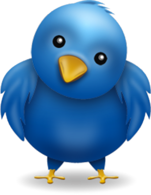 Thank You For Following Me On Twitter - Blue Twitter Bird (309x400)
