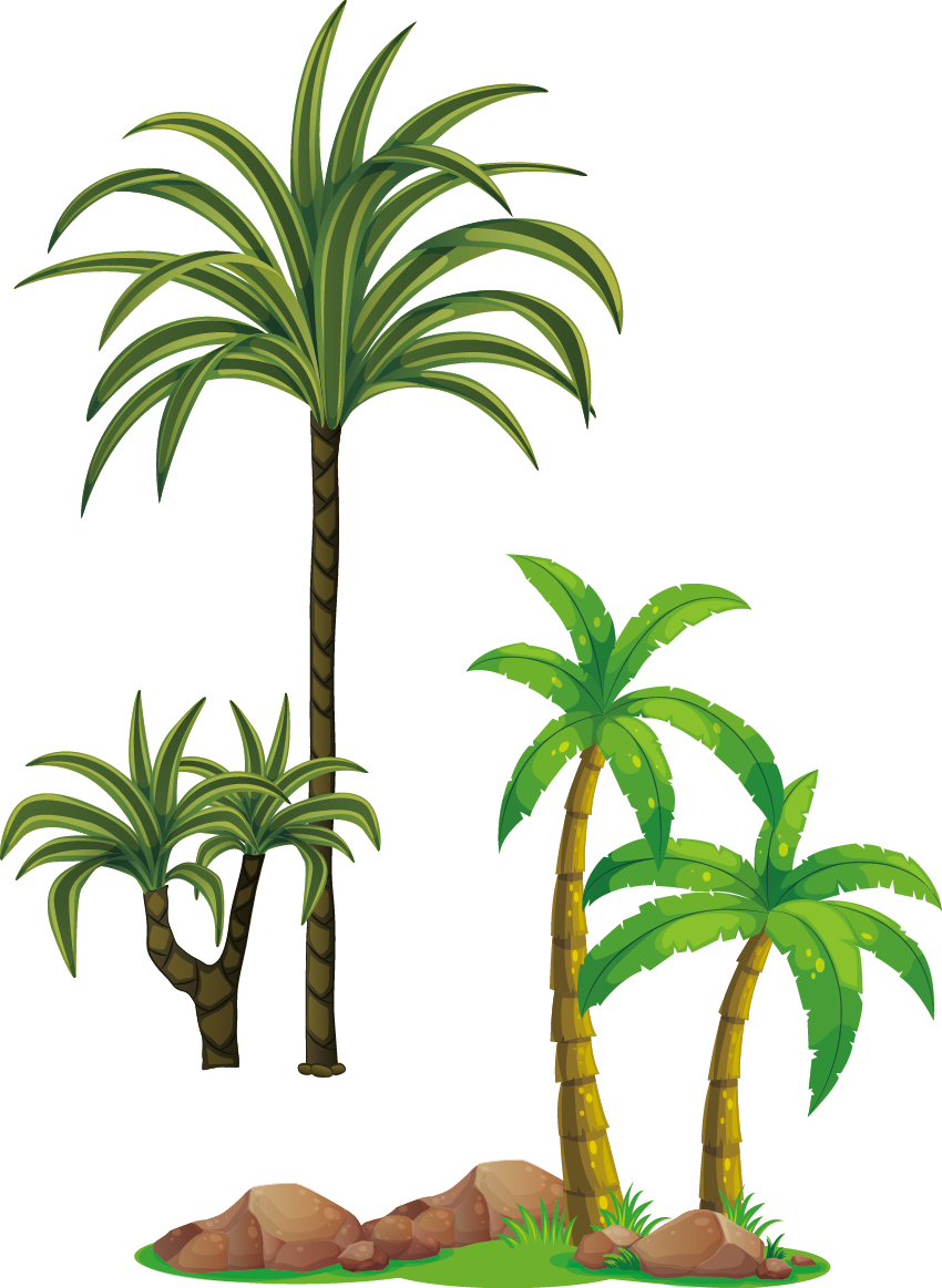 Tree Arecaceae Clip Art - Tree (850x1163)