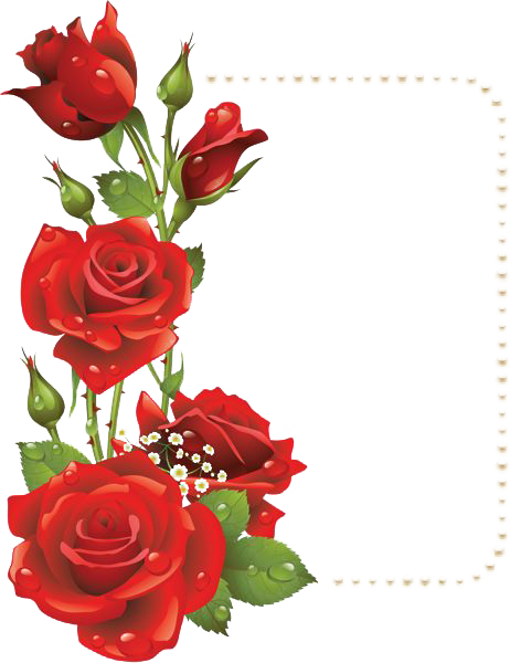 Flower Frame Png Images Transparent Free Download Pngmart - Flower Frame (462x600)