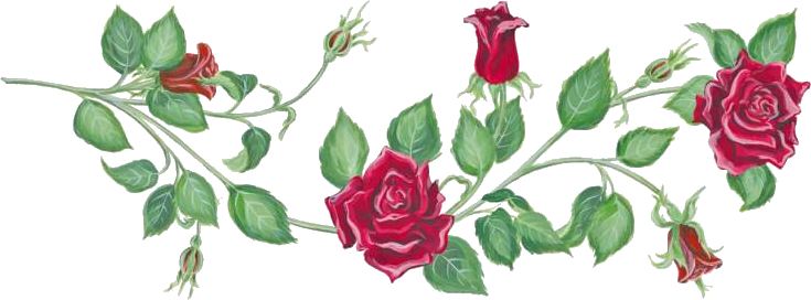Rosevineborder Photo By Utherverse Rlc - Rose Vine (735x272)