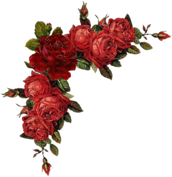 Borders And Frames Flowers Red Images - Red Flower Border Transparent (400x382)